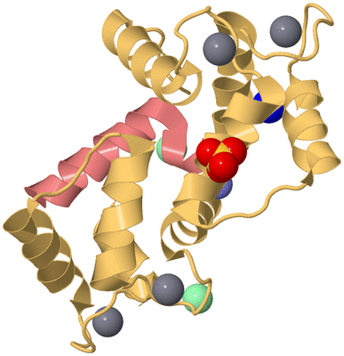 Image Biological Unit 4