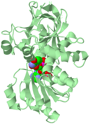 Image Biological Unit 2