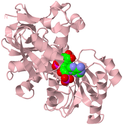 Image Biological Unit 3