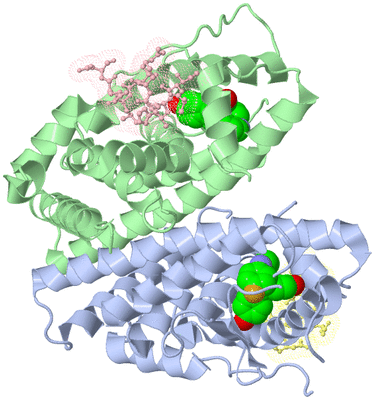 Image Asym./Biol. Unit