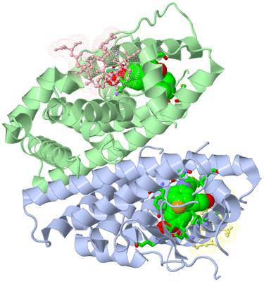 Image Asym./Biol. Unit - sites