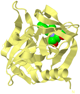 Image Biological Unit 4