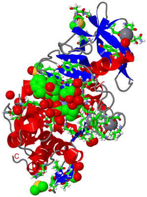 Image Asym./Biol. Unit - sites