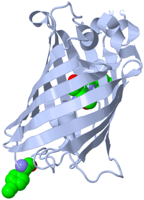 Image Biological Unit 1