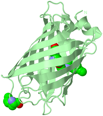 Image Biological Unit 2