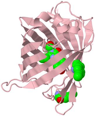 Image Biological Unit 3