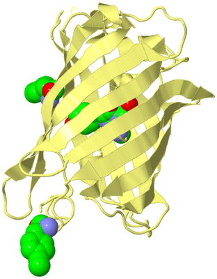 Image Biological Unit 4