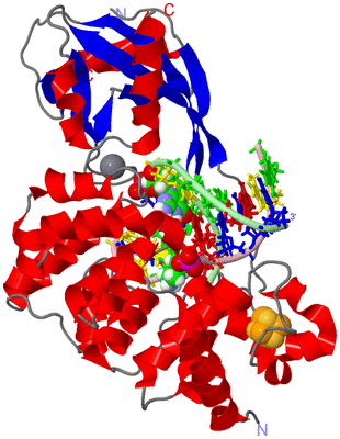 Image Asym./Biol. Unit