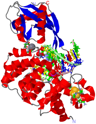 Image Asym./Biol. Unit - sites