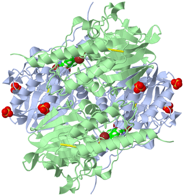 Image Biological Unit 1