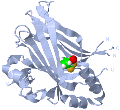 Image Biological Unit 1