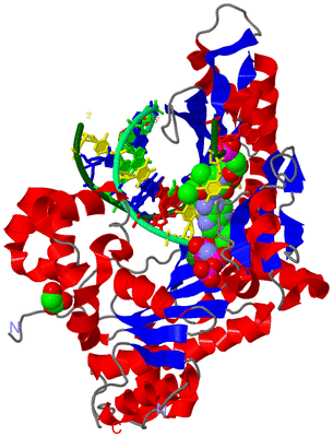 Image Asym./Biol. Unit