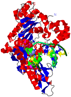 Image Asym./Biol. Unit