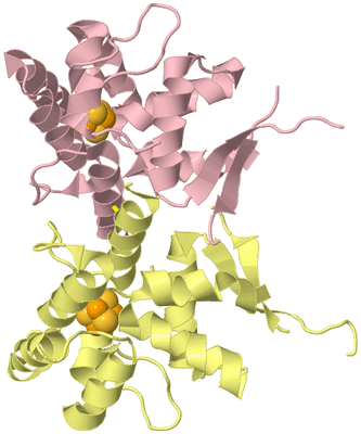 Image Biological Unit 2