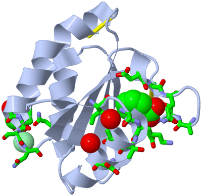 Image Biol. Unit 1 - sites