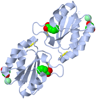 Image Biological Unit 2