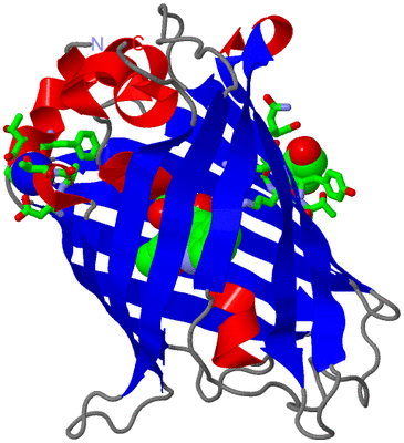 Image Asym./Biol. Unit - sites