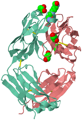 Image Biological Unit 2