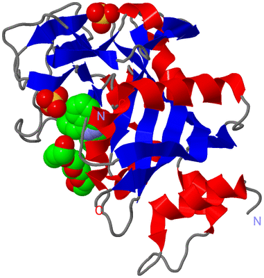 Image Asym./Biol. Unit