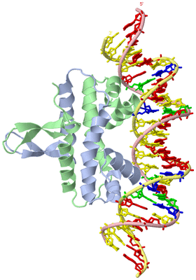 Image Asym./Biol. Unit