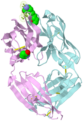 Image Biological Unit 3