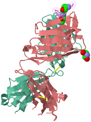 Image Biological Unit 4