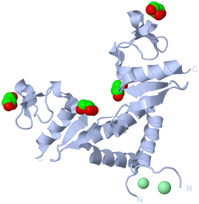 Image Biological Unit 3