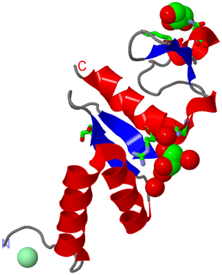 Image Asym. Unit - sites