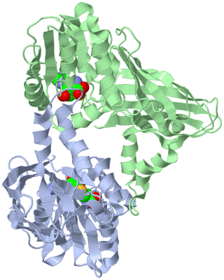 Image Biological Unit 1