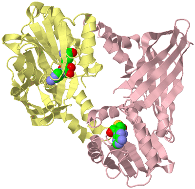 Image Biological Unit 2