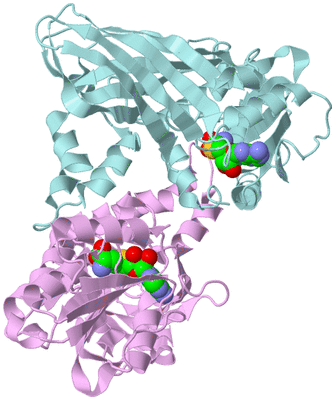 Image Biological Unit 3