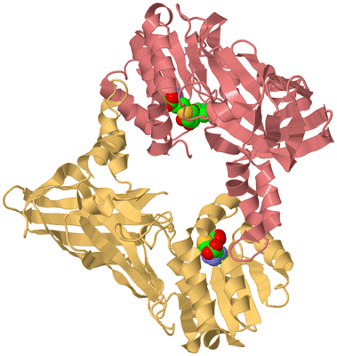 Image Biological Unit 4