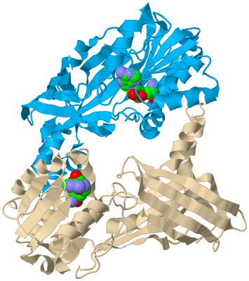 Image Biological Unit 5