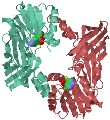 Image Biological Unit 6