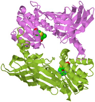 Image Biological Unit 7