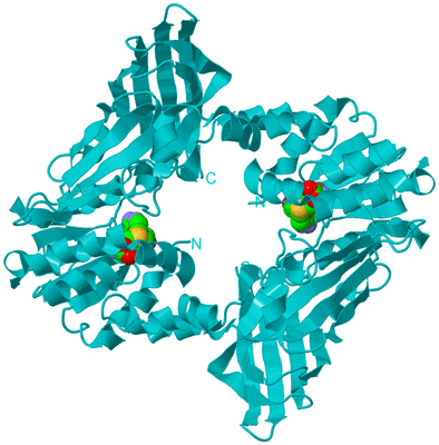 Image Biological Unit 8