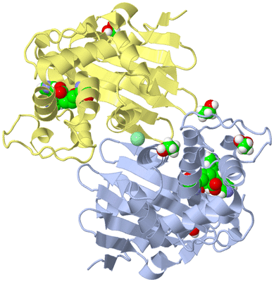 Image Biological Unit 1