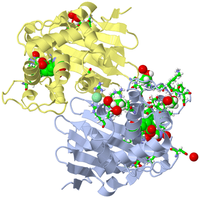 Image Biol. Unit 1 - sites