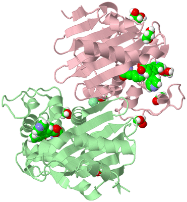 Image Biological Unit 2