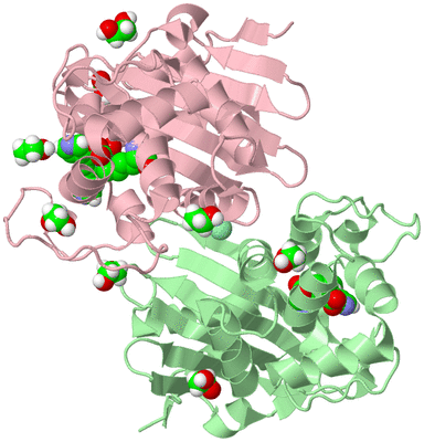 Image Biological Unit 3