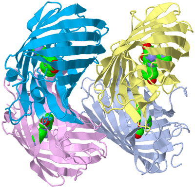 Image Biological Unit 1