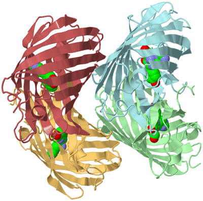 Image Biological Unit 2