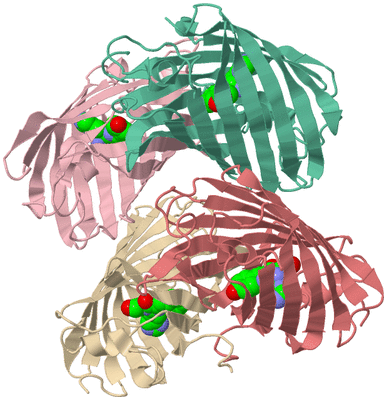 Image Biological Unit 3