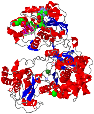 Image Asym./Biol. Unit