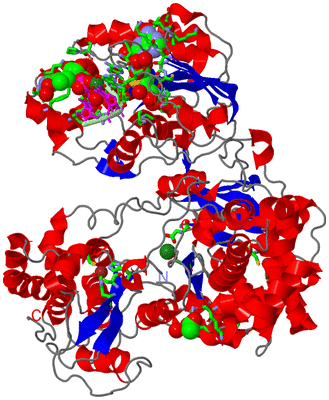 Image Asym./Biol. Unit - sites