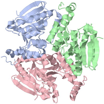 Image Asym./Biol. Unit