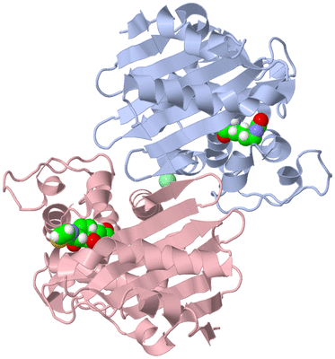 Image Biological Unit 2