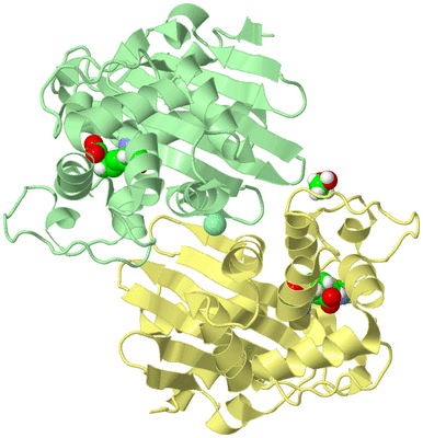 Image Biological Unit 3