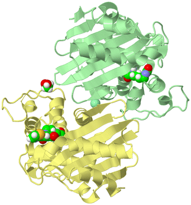 Image Biological Unit 4