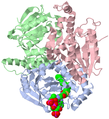 Image Biological Unit 1